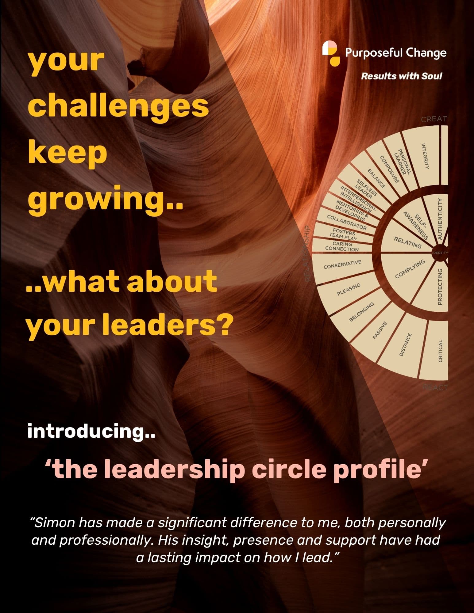 Leadership Circle Profile — brochure cover